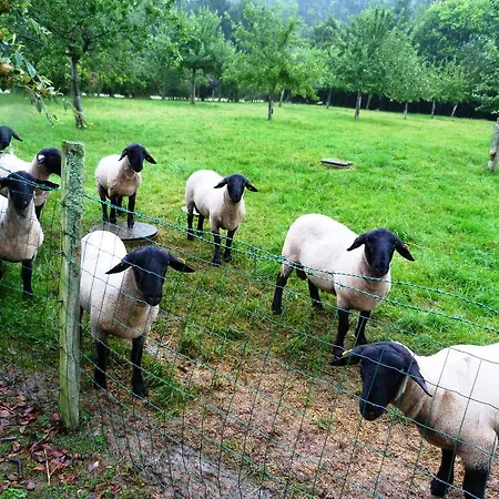 מלון Ferme Des Chartroux