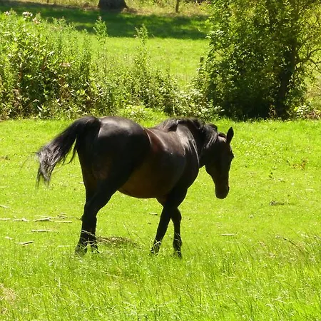 Ferme Des Chartroux מלון 3*